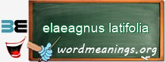 WordMeaning blackboard for elaeagnus latifolia